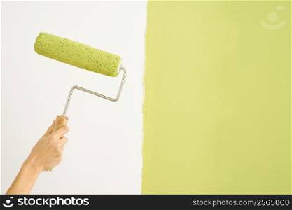 Caucasian female hand holding paint roller next to wall half painted.