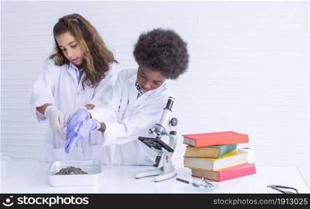 Caucasian girl and African black boy studying Science and doing experiment together in classroom at school. Education and Diversity Concept.
