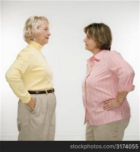 Caucasian senior woman and middle aged woman face to face arguing.