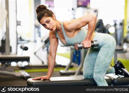 Caucasian strong woman lifting some weights and working on her triceps and biceps in a gym with dumbbells.. Woman working on her triceps and biceps in a gym with dumbbells