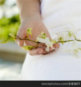 Caucasian woman&acute;s hand holding white orchids.