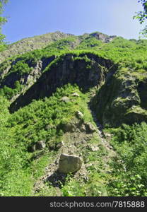 Caucasus mountains and forest under clear blue sky