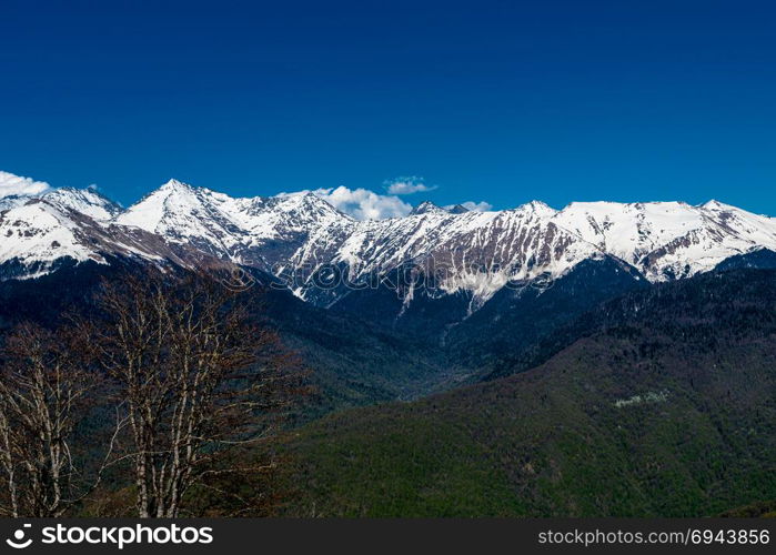 Caucasus mountains. Krasnaya Polyana, Sochi National Park, Russia.