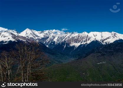 Caucasus mountains. Krasnaya Polyana, Sochi National Park, Russia.