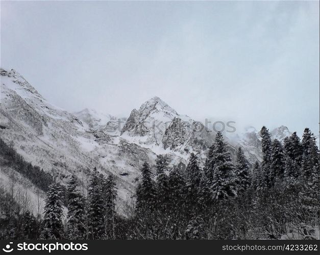 Caucasus mountains, winter forest and white mist