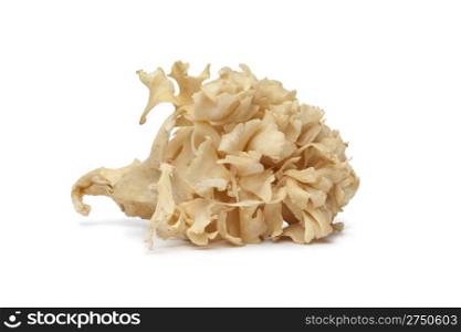 Cauliflower mushroom on white background