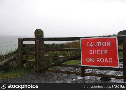 Caution sheep sign.