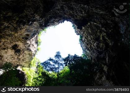 cave and tree from nature
