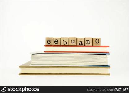 cebuano word on wood stamps stack on books, conversation and translation concept
