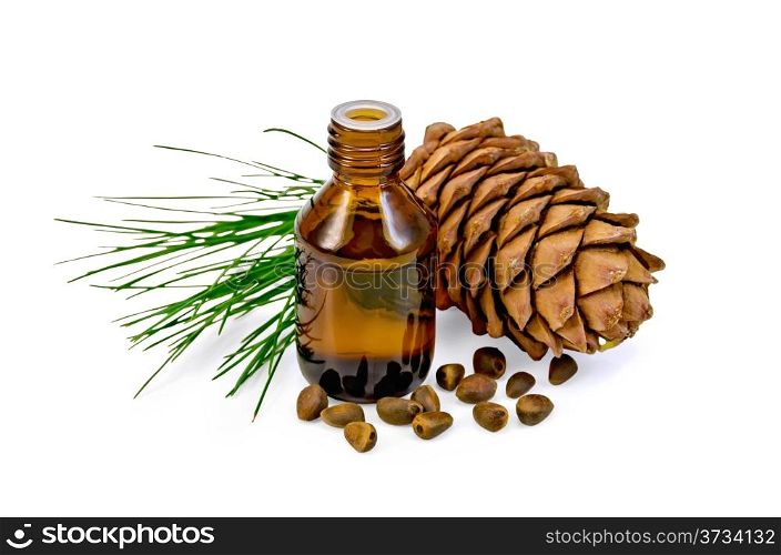 Cedar oil in a bottle, cedar cone, cedar nuts isolated on white background