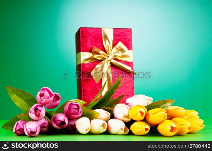 Celebration concept - gift box and tulip flowers