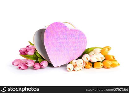 Celebration concept - gift box and tulip flowers