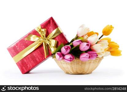 Celebration concept - gift box and tulip flowers