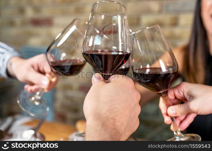 Celebration. Group of friends holding The Glasses Of Wine Making A Toast. High quality photo. Celebration. Group of friends holding The Glasses Of Wine Making A Toast.