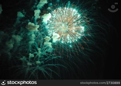 Celebration with fire works on the night sky