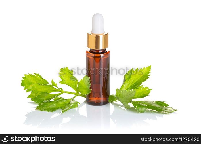 Celery essential oil. Celery oil for skin care, spa, wellness, massage, aromatherapy and natural medicine. Alternative medicine
