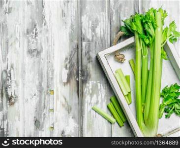 Celery for the tray. On white wooden background. Celery for the tray.