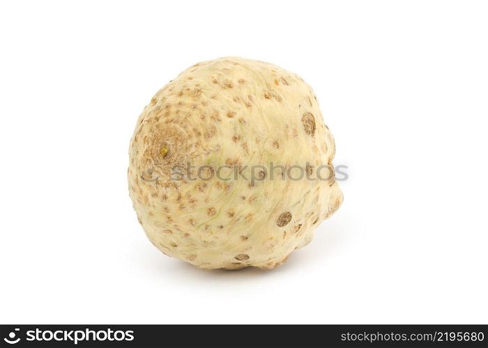 Celery root isolated on white background.. Celery root isolated