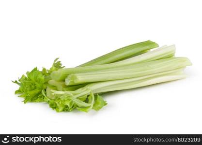 Celery. stump of celery isolated on white background