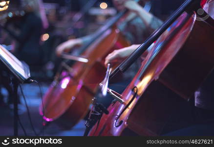 cello at a concert