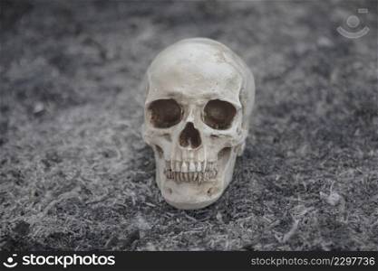 cement skull created shootings