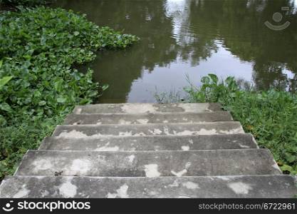 cement staircase near pond with green grass