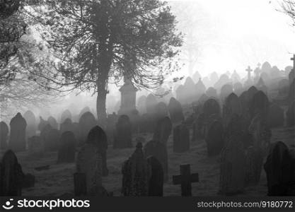 cemetery tombstones fog graveyard