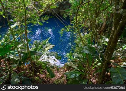 Cenote sinkhole in rainforest jungle of Riviera Maya at mayan Mexico