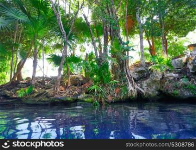 Cenote sinkhole in Riviera Maya at Mayan Mexico