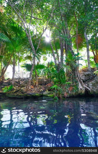 Cenote sinkhole in Riviera Maya at Mayan Mexico