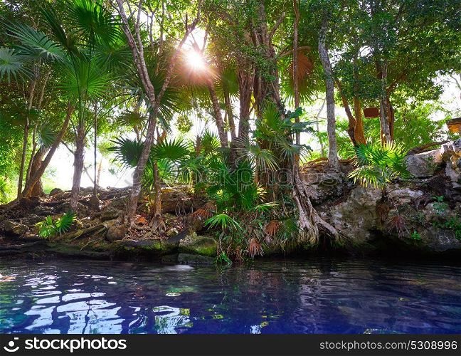 Cenote sinkhole in Riviera Maya at Mayan Mexico