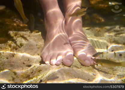 Cenotes sinkholes in mexico fishes suck feet dead skin