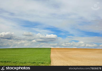 Center symmetry of two different fields with clouds behind