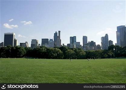 Central Park and the skyline in NYC