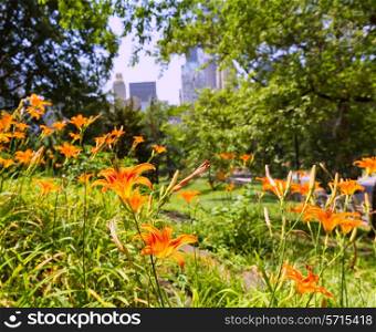 Central Park flowers Manhattan New York US