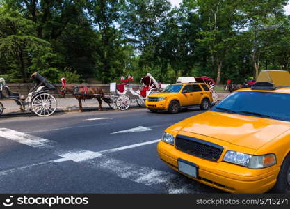 Central Park horse carriage rides in Manhattan New York US