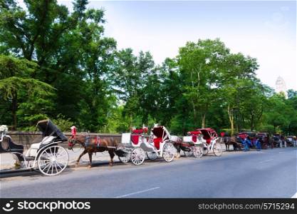 Central Park horse carriage rides in Manhattan New York US