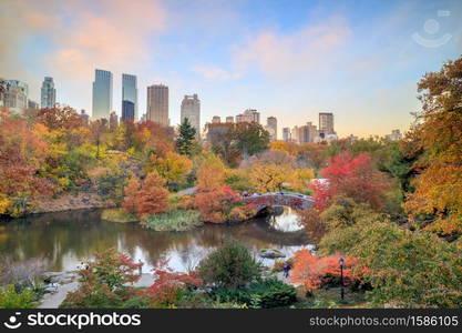 Central Park in Autumn with colorful trees and skyscrapers