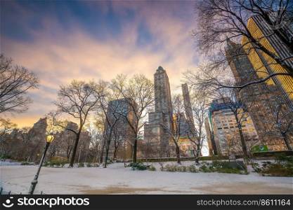 Central Park in New York City in Manhattan USA in winter with snow