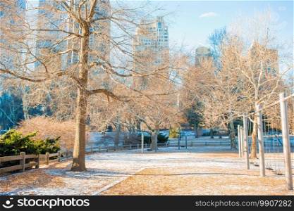 Central Park in winter, New York City, USA. Beautiful Central Park in New York City