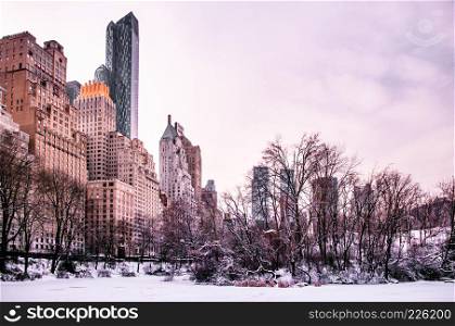 Central Park, New York in winter time