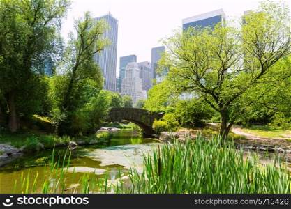 Central Park The Pond Manhattan New York US