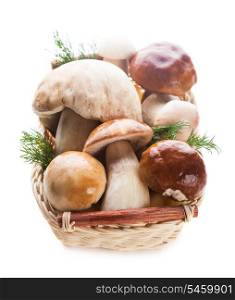 Ceps in the basket prepared for cooking isolated