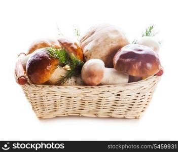 Ceps in the basket prepared for cooking isolated
