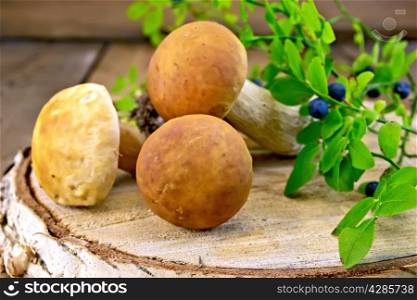 Ceps, twigs with green leaves and blueberries on a birch billet on the background of wooden boards