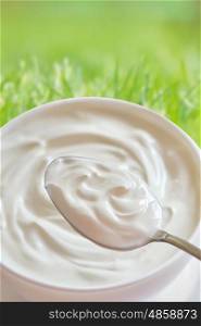 Ceramic bowl of white yoghurt in spoon