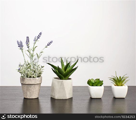 ceramic pots with plants on a black table, white background, copy space