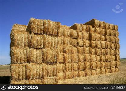 Cereal barn with square shape stack on columns