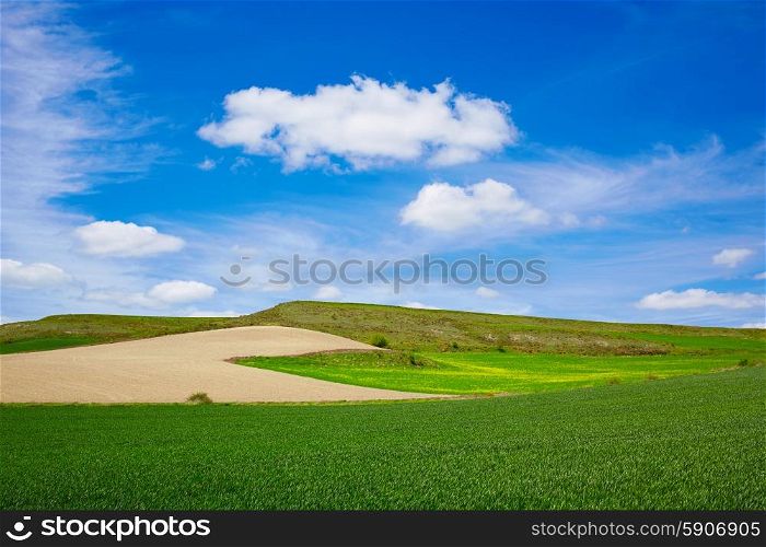 Cereal fields by The Way of Saint James in Castilla near Burgos