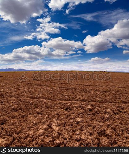 Cereal rice fields in fallow after harvest at Mediterranean Spain
